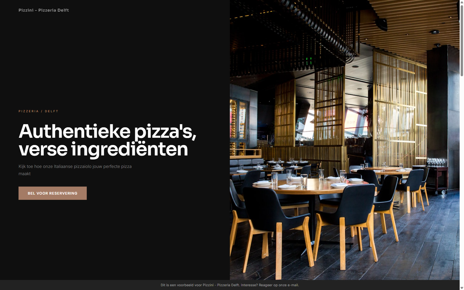 Pizzini Delft website